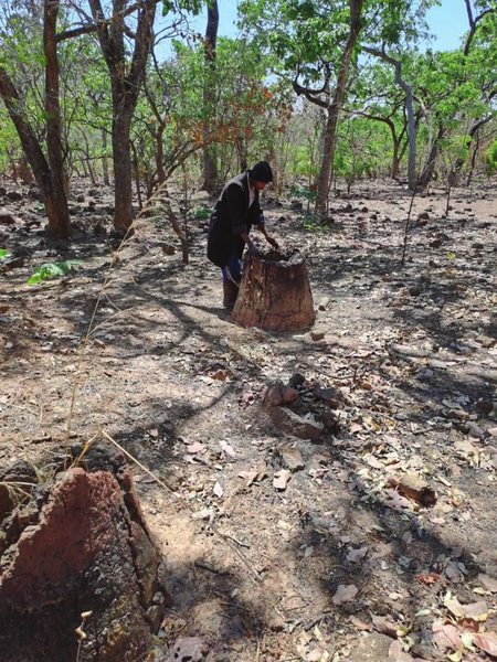 Square Waco gold site production results from international partnership collaboration
